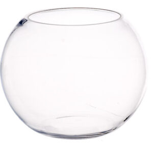 Glass Fish Bowl Medium