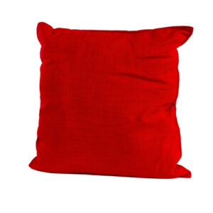 Scatter Cushion