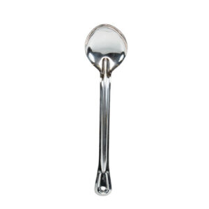 Silver Long Handle Serving Spoon