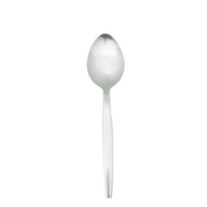 Silver Serving Spoon