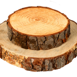 Wood Slice Medium