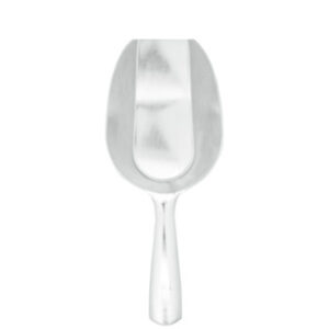 Silver Ice Scoop